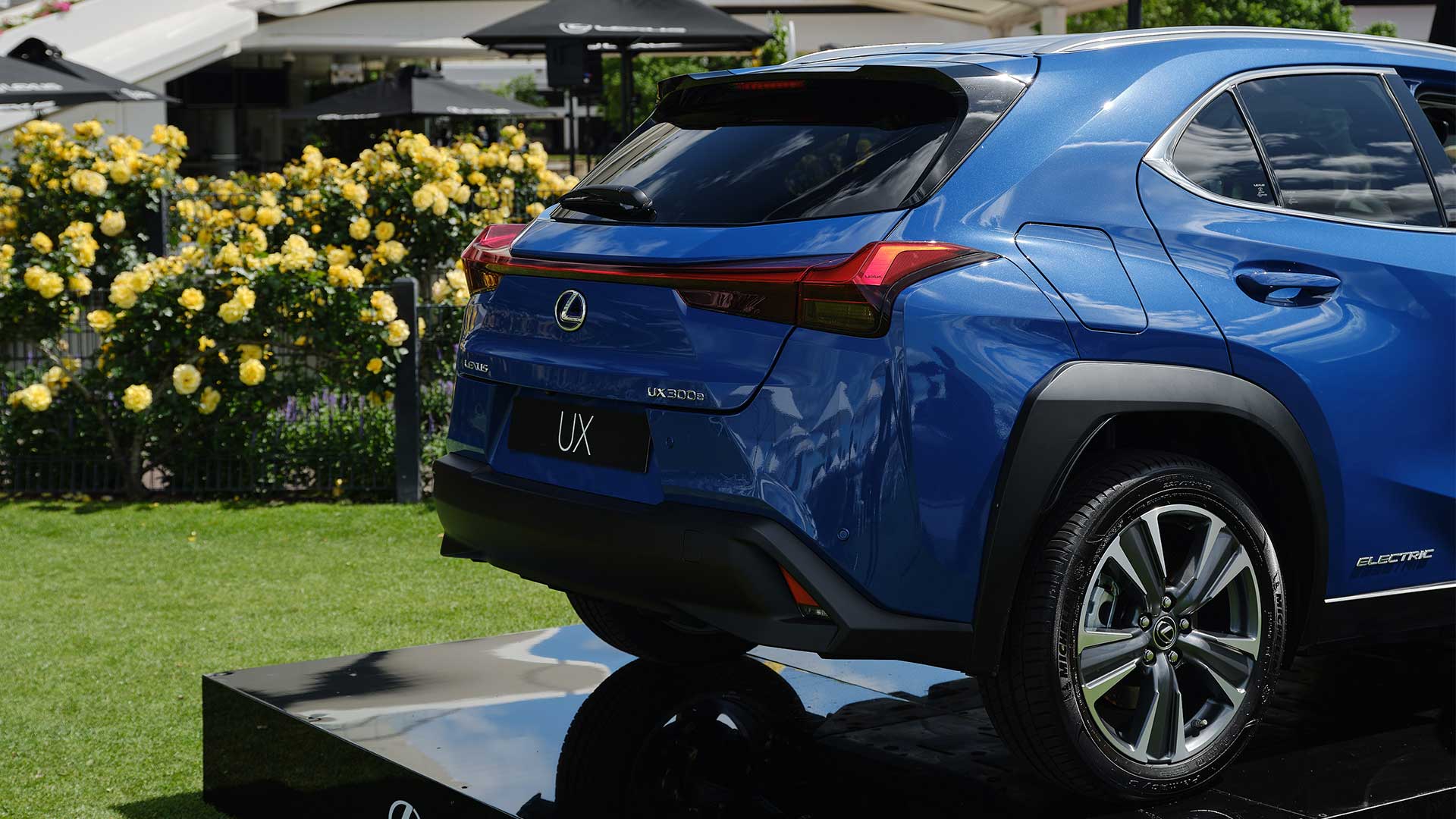 Lexus UX 300e Sports Luxury.